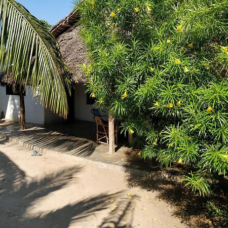 Jambiani Home Stay Εξωτερικό φωτογραφία