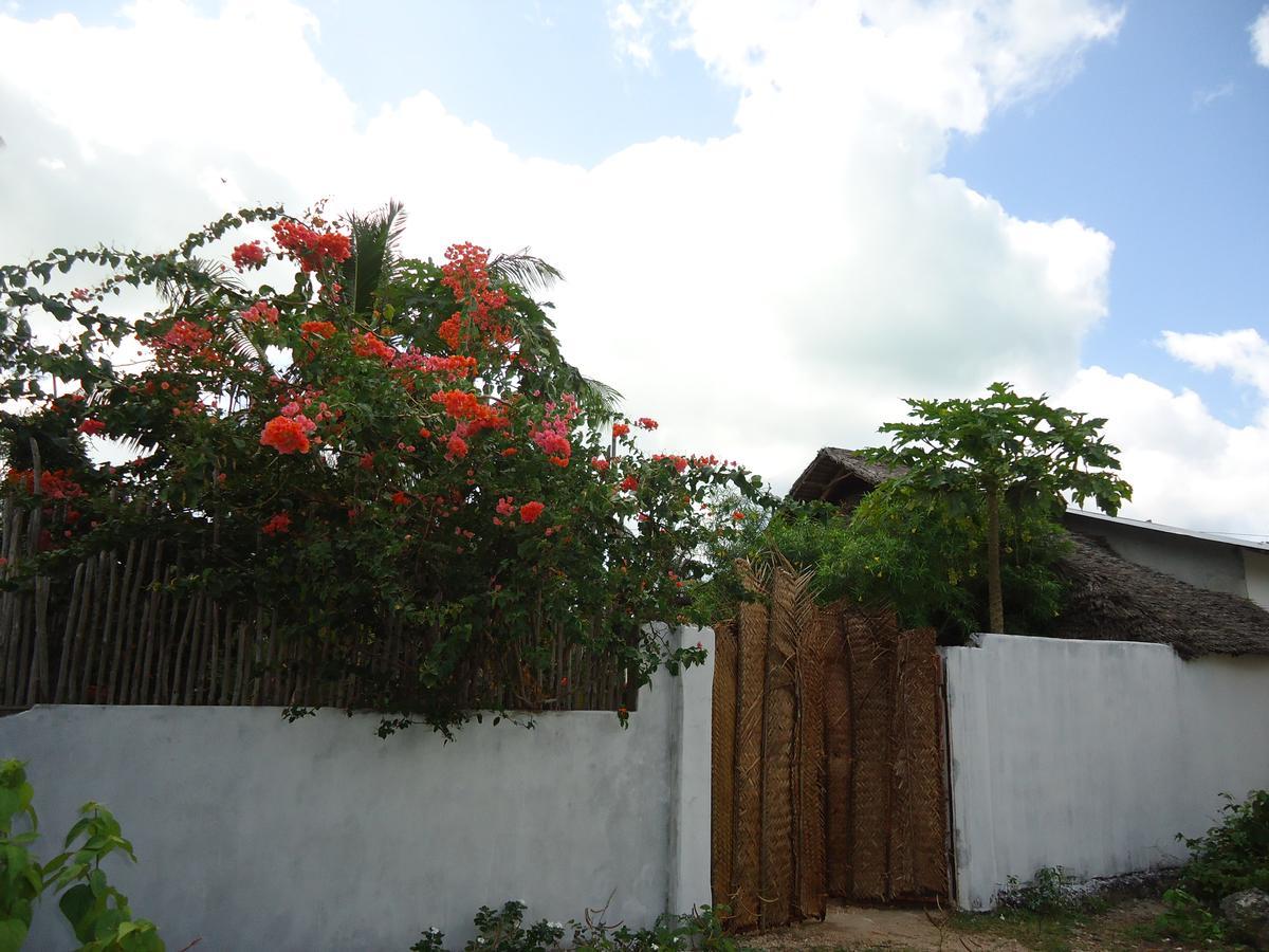 Jambiani Home Stay Εξωτερικό φωτογραφία